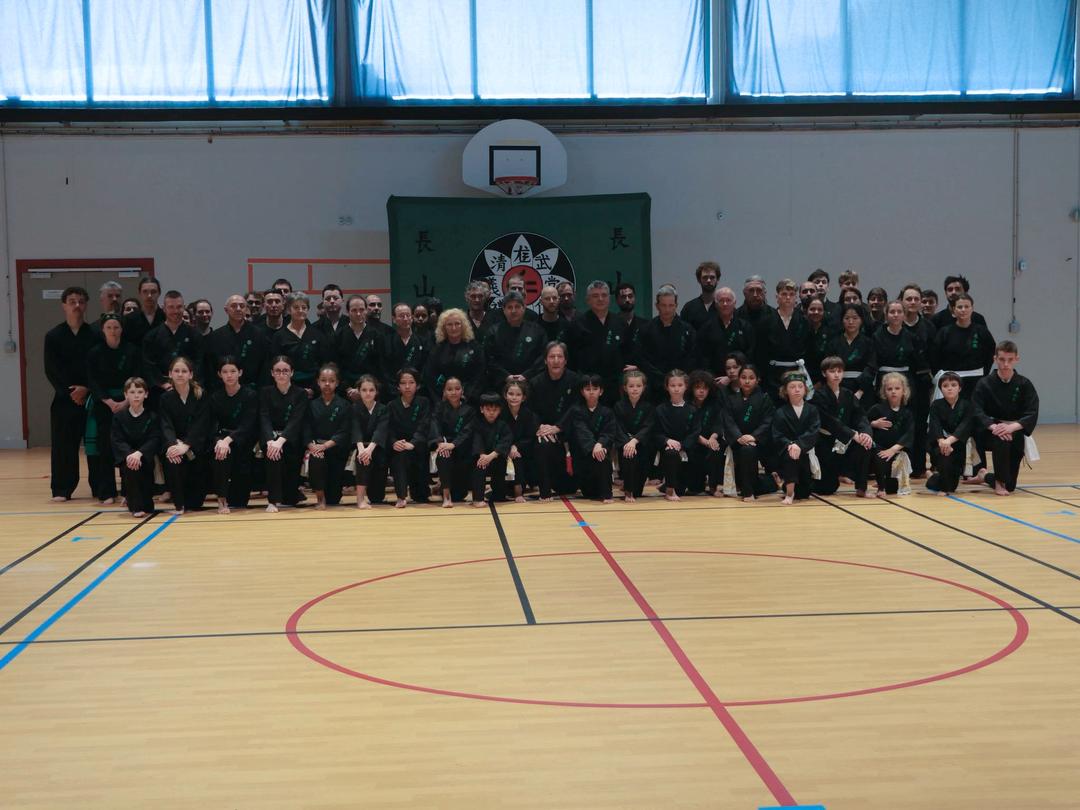 Stage 30 ans Viet Vo Dao Île de Ré